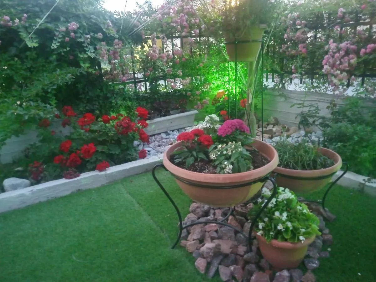 Niki Stavros Comfort Studios Appartement